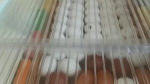 Вывод в инкубаторах Несушки и Матрица дели Результаты