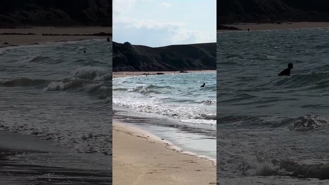 Шикарный пляж рядом с Мон-Сен-Мишель - чудо света которое посещает свыше 1,5 млн. туристов в год смотреть онлайн