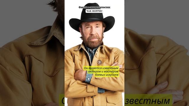 ЧАК НОРРИС / ФАКТЫ О ЗНАМЕНИТОСТЯХ смотреть онлайн