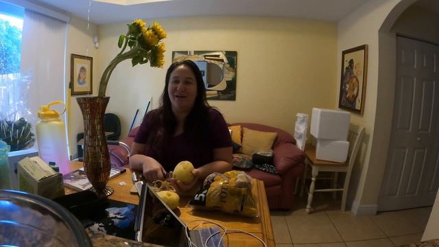 Count down to spinal fusion | Meal prep recipe for weight loss смотреть онлайн