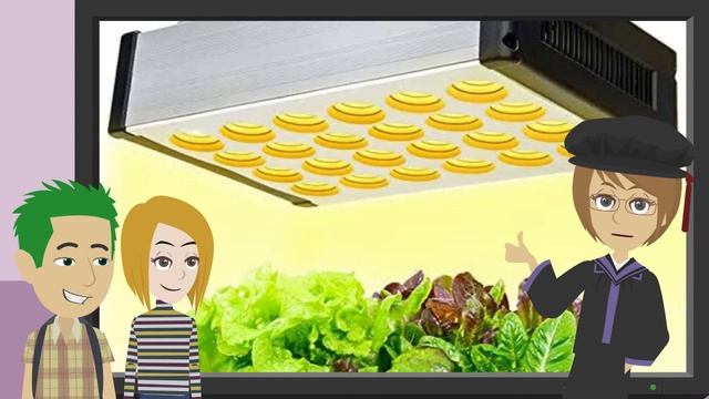 Hydroponic practices 1. Hydroponic lettuce смотреть онлайн