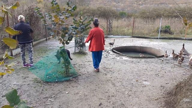 Грета, следственный эксперемент №2, город Горячий ключ, 5 ноября 2020