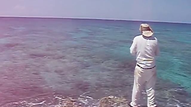 Tenson handline fishing off Cayman Brac ironshore for parrot! смотреть онлайн