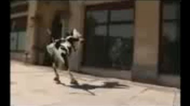 22vid 5 смотреть онлайн