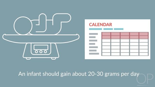Breastfeeding by L. Rubin, A. Growdon | OPENPediatrics смотреть онлайн