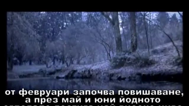 ВитаЙод смотреть онлайн