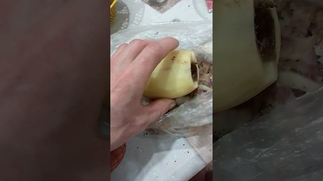 картошка с магнита смотреть онлайн