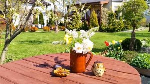 Дом Окнами в САД🏠 Простая Жизнь💜 Букетная посадка Цветов💐 Приятные хлопоты в Саду и Огороде #дом