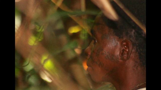 The Incredible Congo смотреть онлайн