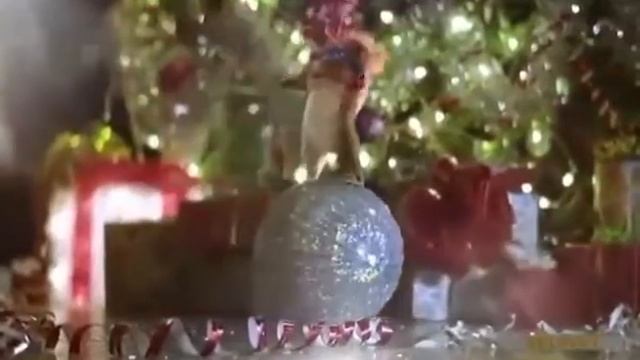 Новый год и белки смотреть онлайн