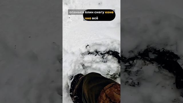 50-пяточка! смотреть онлайн