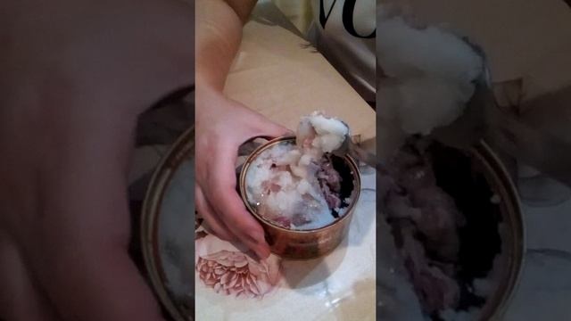 Тушёнка. Тест 1, часть 1. смотреть онлайн