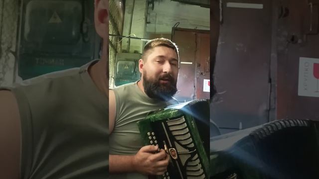 Cover Жуки Батарейка гармонь смотреть онлайн