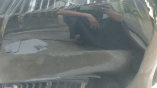 Honda Color Code NH731P