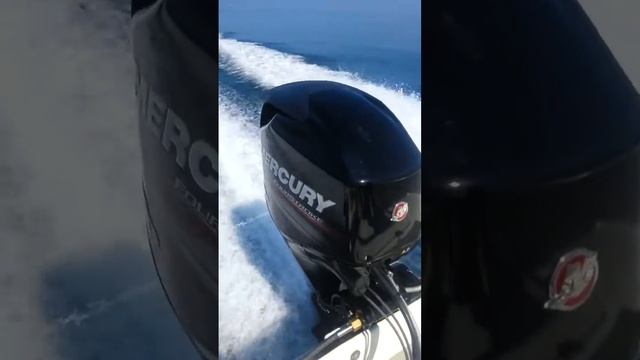 Mercury F40 pro 06/2013 tonnara di Palmi