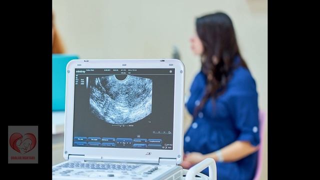 4 OYLIK HOMILADAGI O'ZGARISHLARI -- 4 ОЙЛИК ХОМИЛАДАГИ УЗГАРИШЛАРИ  (2019)