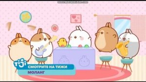 Заставка Далее И Анонс (TiJi 13.01.2020 16_08)