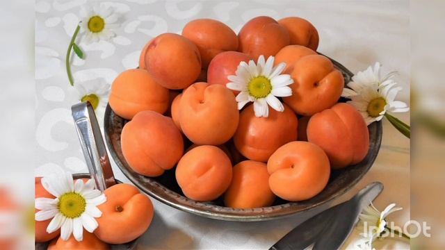 Оруктун пайдасы.Сиз билбеген дарылык касиети! #орук#абрикос #apricot #пользаабрикоса. смотреть онлайн
