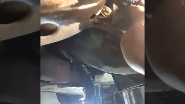 Muscle Cars And Monster Trucks