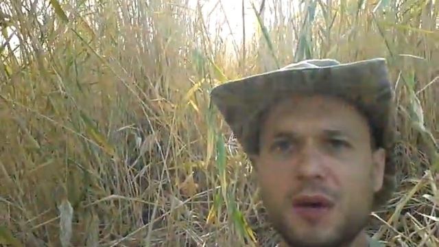 охота на утку смотреть онлайн