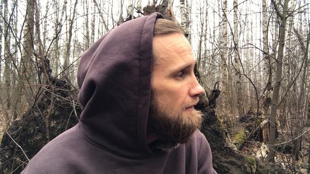 Быстрые углеводы, да или нет? | 2024-04-08 смотреть онлайн