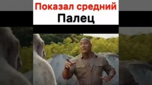 Обезьяна покозала средний палец       вот умора