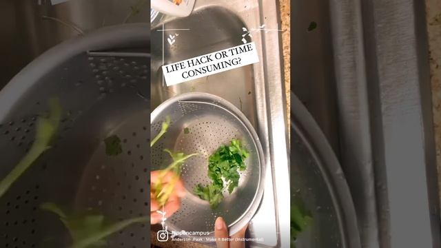Cilantro No Stem, please! ￼ смотреть онлайн