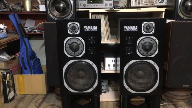 Yamaha NS 1000M 
12.2024