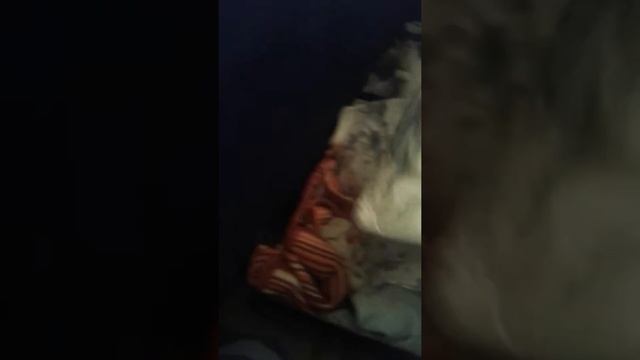 Комнота для беби бона смотреть онлайн