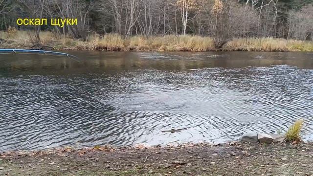Рыбалка на лосось спиннингом смотреть онлайн