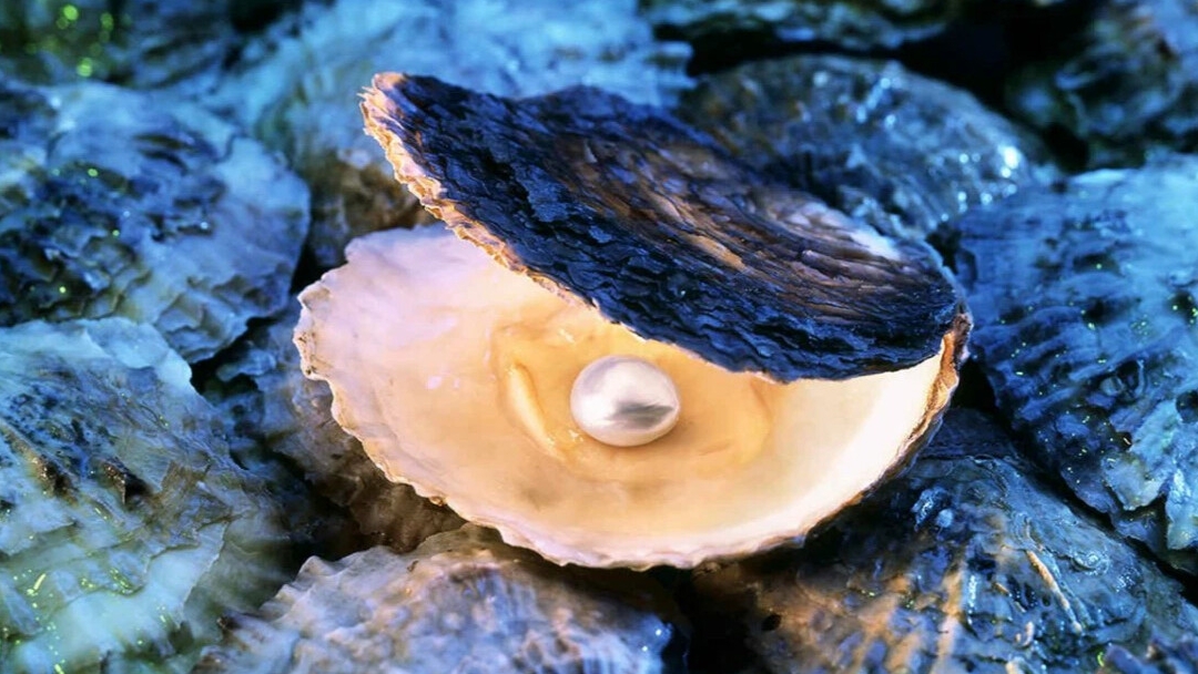 Реальная рыбалка 2. Моллюск