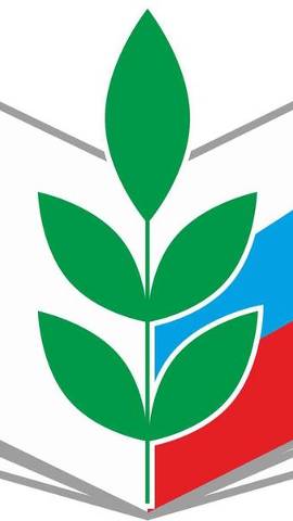 Новый год 2022