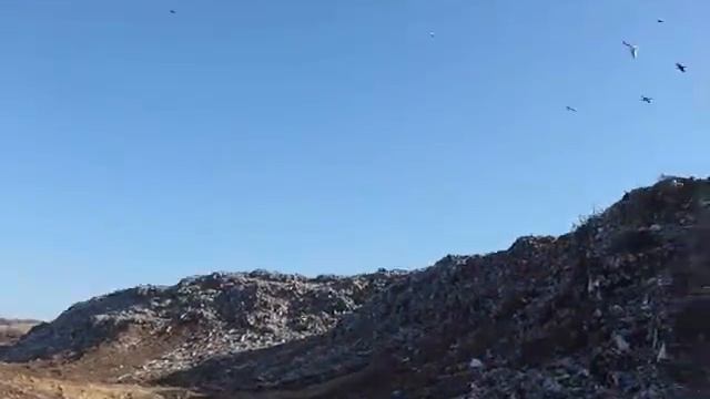 Городская свалка г Николаева смотреть онлайн