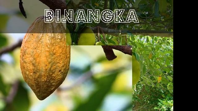 Makanan Sehat dan bergizi смотреть онлайн