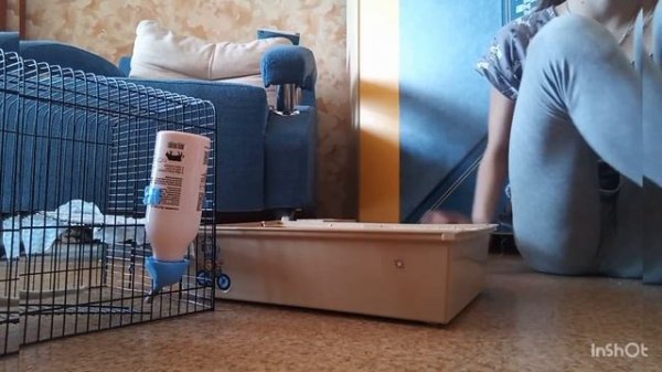 УБОРКА У КРЫСКИ В КЛЕТКЕ /*СДЕЛА МЯГКИЕ ПОЛОЧКИ?!🐀🐀🐭👍😁