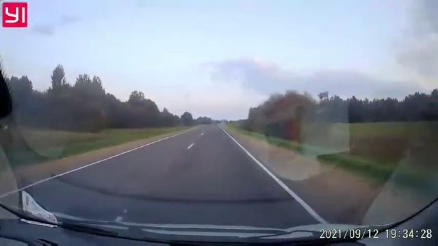 Лось перебегает дорогу. Пару километров до Мяделя. Moose crosses the road near Miadzel'. смотреть онлайн