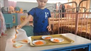 Эксперимент с морковью