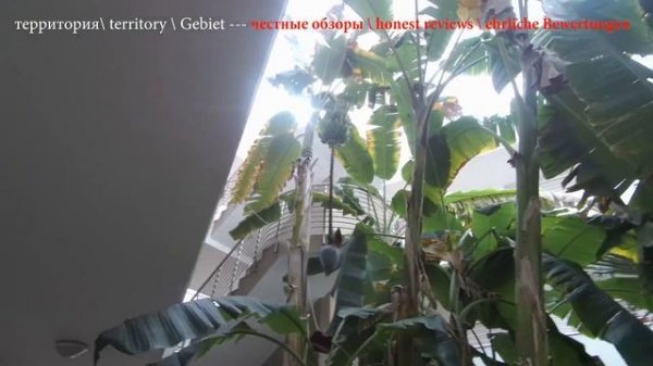 Club Mermaid Village