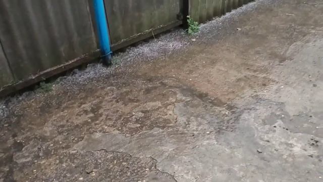 Дом🏠на Юге.Весна на Юге такая! смотреть онлайн