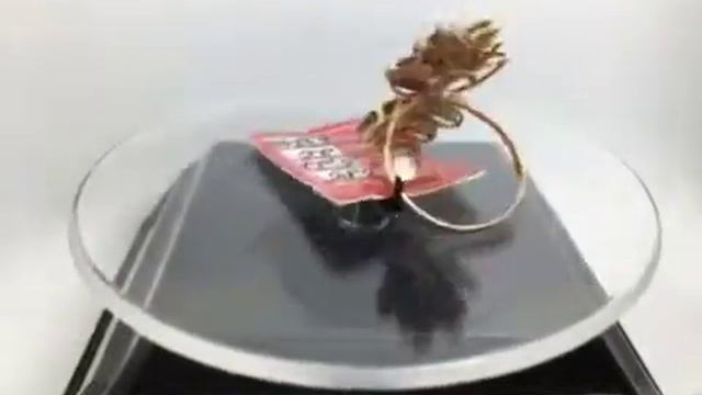 кольцо из золота смотреть онлайн