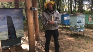 Пчелиные соты. История возникновения медогонки. Интересный эксперимент.