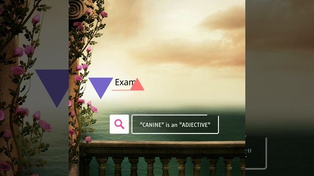 Canine: Meaning and Example| Grammar #englishgrammar #pronouncebuddy #meaning смотреть онлайн