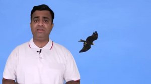 Постоянная полная осознанность. Сила момента сейчас. Практическое руководство от Сатья Саи Бабы.