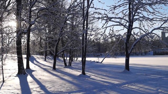 Экскурсия в Гатчину с Денисом Зоткиным продолжение!!!
