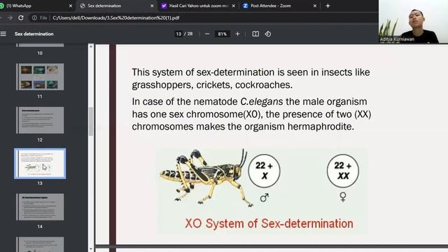 Tugas Ujian Genetika Ternak