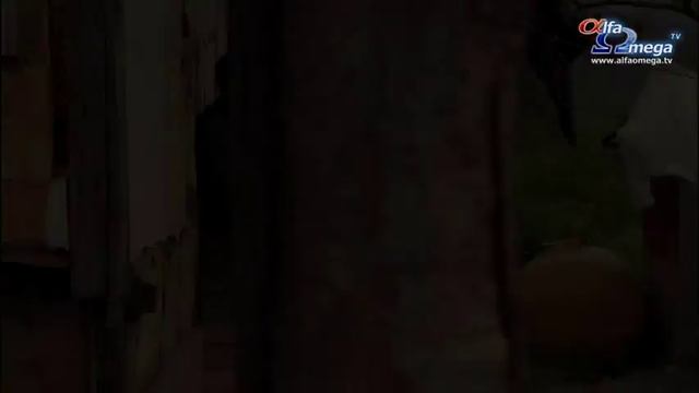 Mai Mult Decat Vise - Vise Si Viziuni In Lumea Musulmana