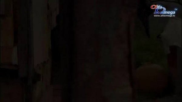 Mai mult decat vise - Vise si viziuni in lumea musulmana