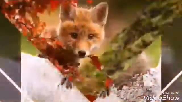 Ми-ми видео(часть 2) смотреть онлайн