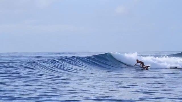 Slater Trout SUP Surfing in Indonesia смотреть онлайн