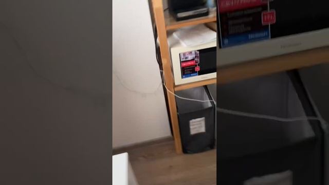 Реакция на домашние роллы смотреть онлайн